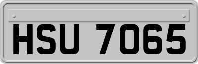 HSU7065