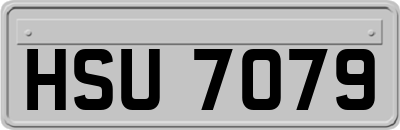 HSU7079