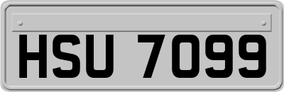 HSU7099