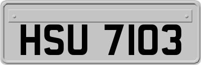 HSU7103