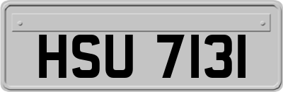 HSU7131