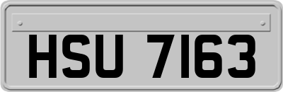 HSU7163