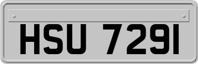 HSU7291
