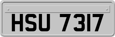 HSU7317