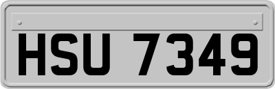 HSU7349