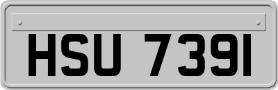 HSU7391