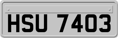 HSU7403