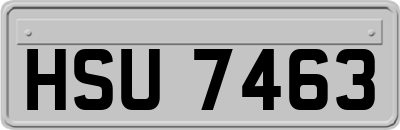 HSU7463