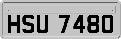 HSU7480
