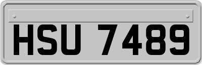 HSU7489