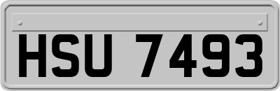 HSU7493