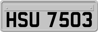 HSU7503