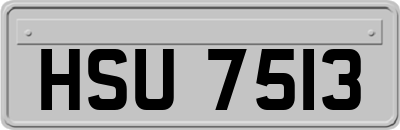 HSU7513