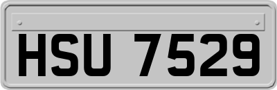 HSU7529
