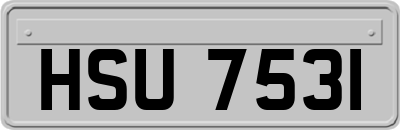 HSU7531