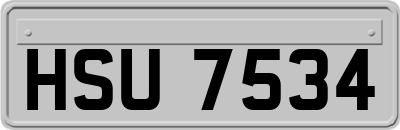 HSU7534