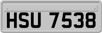 HSU7538