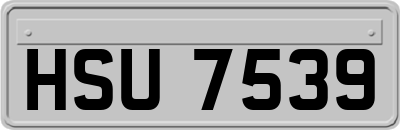 HSU7539