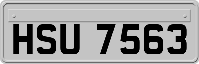 HSU7563