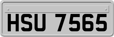 HSU7565