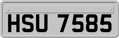 HSU7585