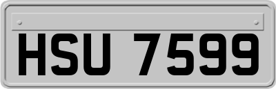 HSU7599