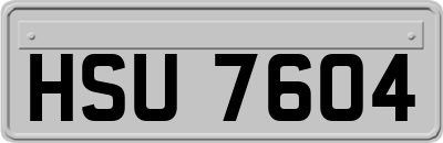 HSU7604