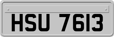 HSU7613
