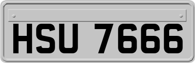 HSU7666