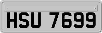 HSU7699