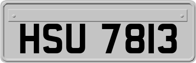 HSU7813