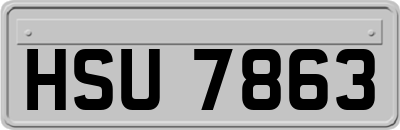 HSU7863