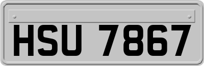 HSU7867