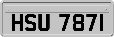 HSU7871