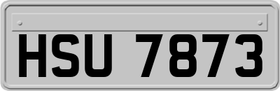 HSU7873