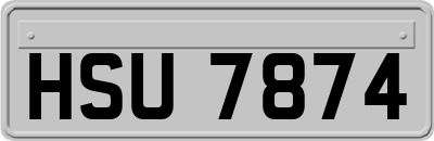 HSU7874