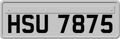 HSU7875