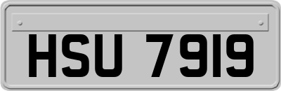 HSU7919