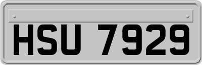 HSU7929