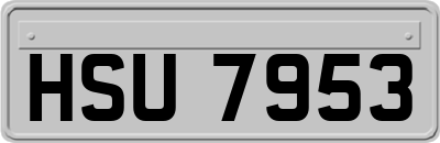 HSU7953