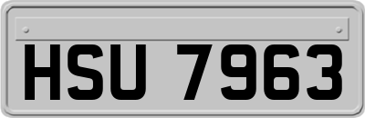 HSU7963