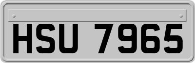 HSU7965
