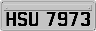 HSU7973