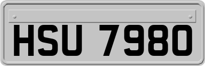 HSU7980