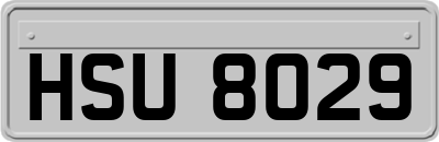 HSU8029