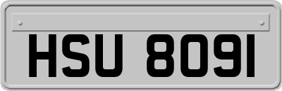 HSU8091
