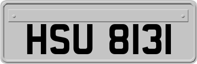 HSU8131