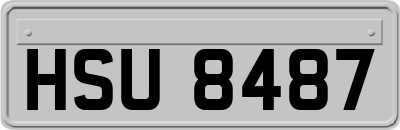 HSU8487
