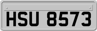 HSU8573