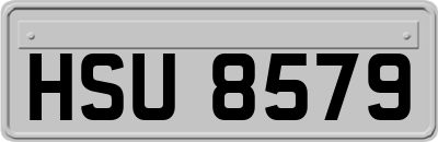 HSU8579